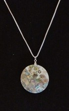 Round New ZealLand Albalone