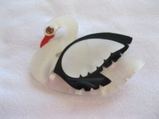 Stunning White and Black Swan