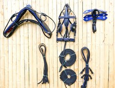 Full Size Black Horse Patent