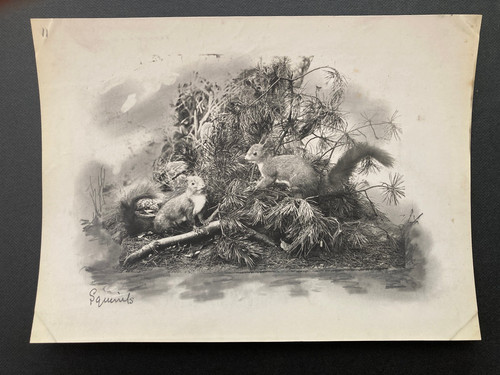 Vintage photograph taxidermy