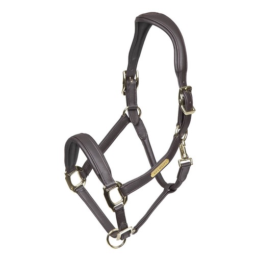 Shires velociti rapida comfort - shires,