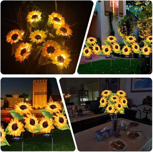 Pack solar powered lights - pack,