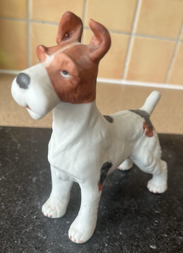 Sweet fox terrier - sweet,