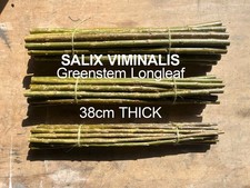 Willow Cuttings 20 x 380mm x