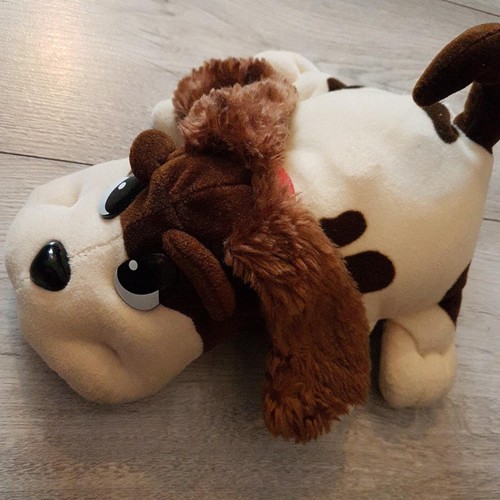 Pound puppy 2000 used - , so