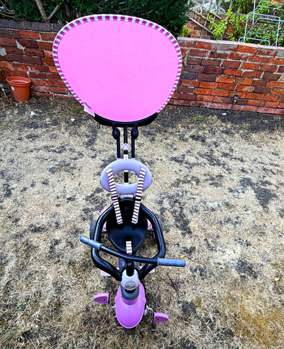 Smartrike push along tricycle - smartrike,