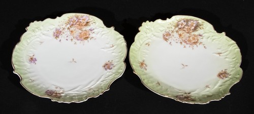 Bavarian china plates hand - plates,
