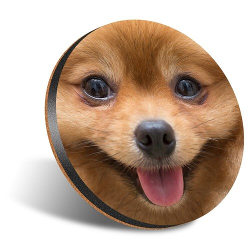 Round 12cm coaster - 1, cute