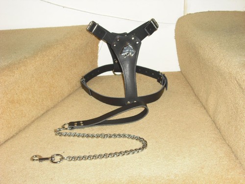 Black padded leather dog - padded,