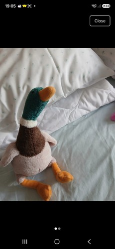 Jellycat morgan mallard - jellycat,