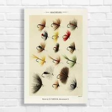 Vintage Fly Fishing Hackles Canvas Print Large Picture Wall Art