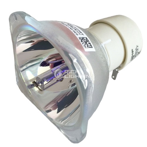 Replacement projector bulb for - projector,
