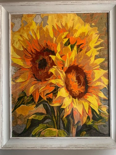 Framed paint numbers - paint,