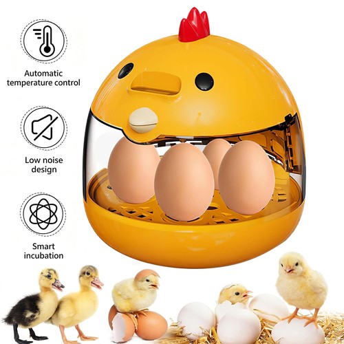 Mini egg incubator - egg,