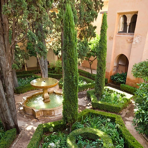 Italian cypress tree - cypress,