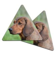2x Triangle Coaster - Alpine Dachsbracke Brown Puppy Dog #15807