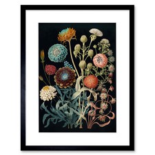 Vintage Botanical Ernst