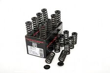 Piper Single Valve Springs &