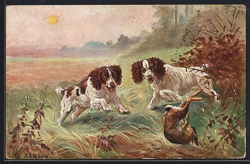 Postcard two hunting dogs