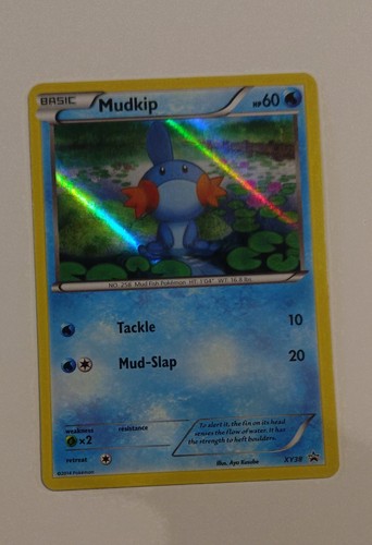 Mudkip xy38 holo - xy38, xy