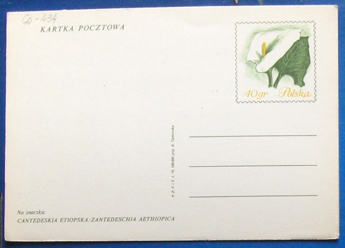 Poland postcard 434 - poland., #434