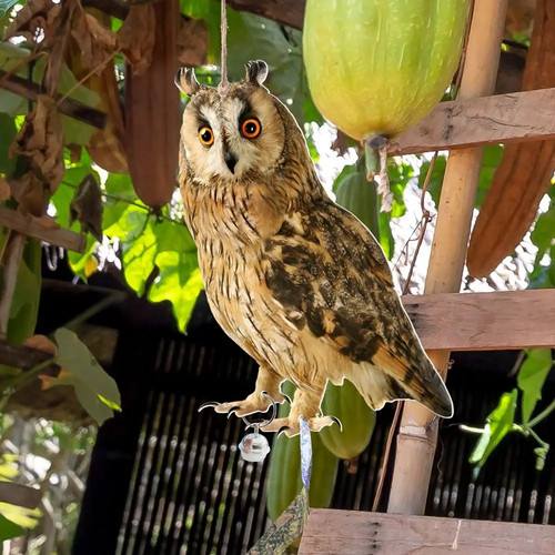 Realistic owl decoy - decoy, deterrent