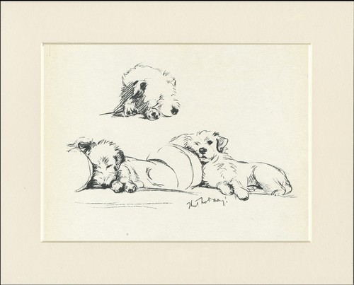 Jack russell terrier vintage - russell,