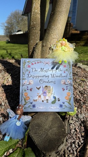 Fairy story gift pack - fairy, book