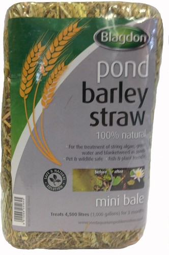Blagdon pond barley straw - blagdon,