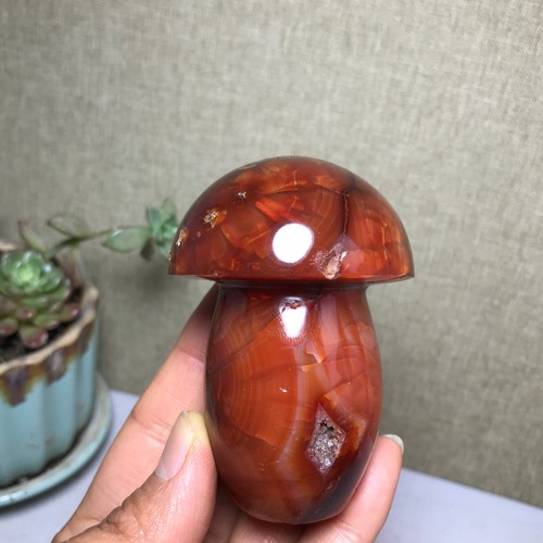 Natural red agate mushroom - natural,