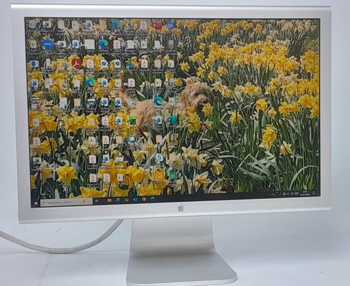 Apple led monitor cinema - monitor,