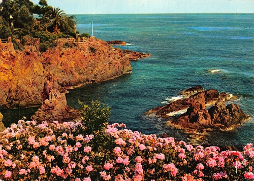 83-ESTEREL