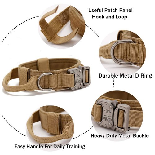Dog collar adjustable stylish - dog,