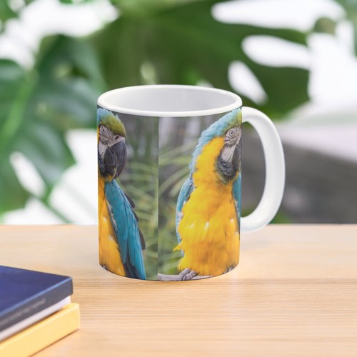 Blue and gold macaw - gold, parrot