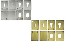 DOOR ESCUTCHEON REPAIR PLATE