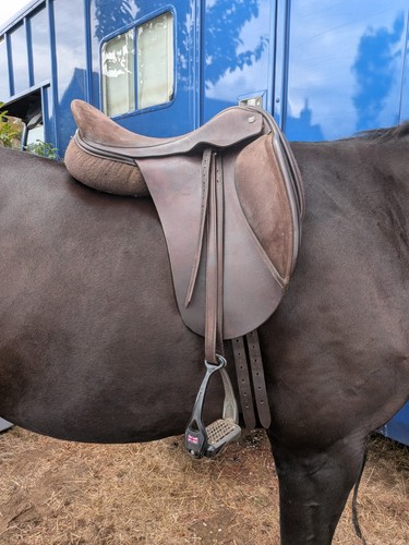 Nick dolman semi flex - 18”, mw