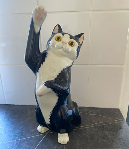 Just cats stafford - &co,
