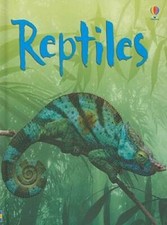 Reptiles (Usborne Beginners