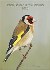 British Garden Birds 2026 A4
