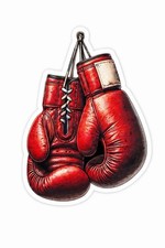 Boxing Gloves Sticker Box