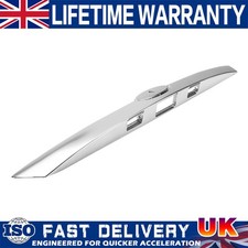 Rear Chrome Tailgate Boot