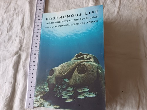 Posthumous life theorizing - posthumous, life-theorizing