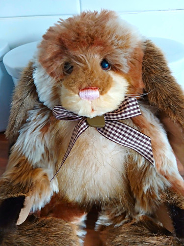 Charlie bears plush - ,