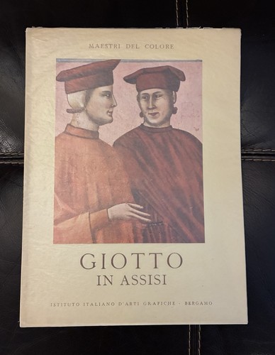 Rare softcover book - book,