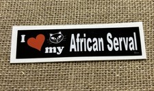 I Love My AFRICAN SERVAL Cat