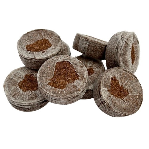 Bramley sage 42mm compost - 42mm,