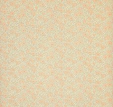 41764 MAYFAIR MEADOWS PRETTY