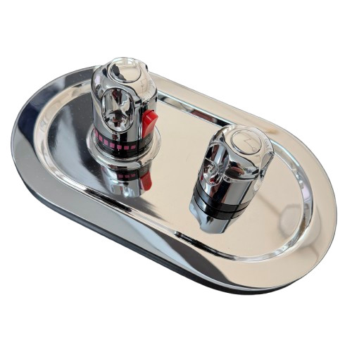 Concealed thermostatic shower - concealed,