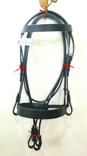 Cwell equine plain flat hunt - equine,