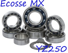 Yamaha YZ250 1999-2024 Hot